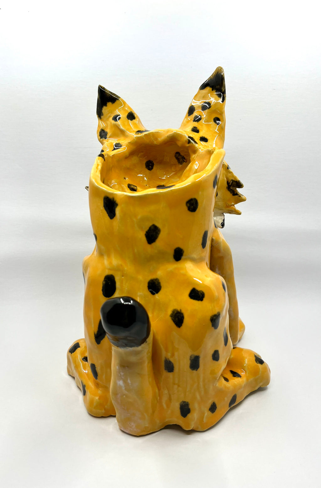 Ilves