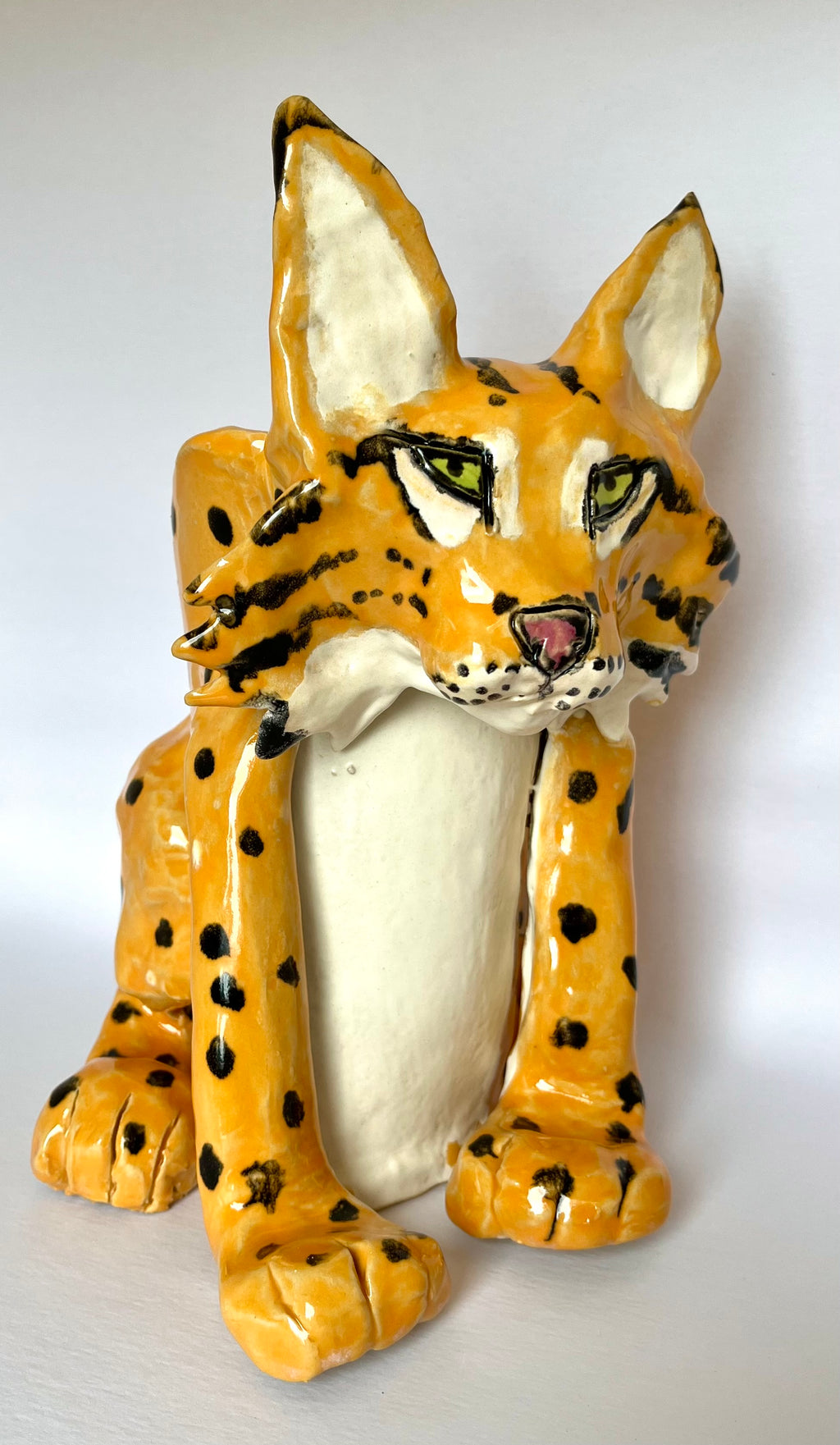 Ilves