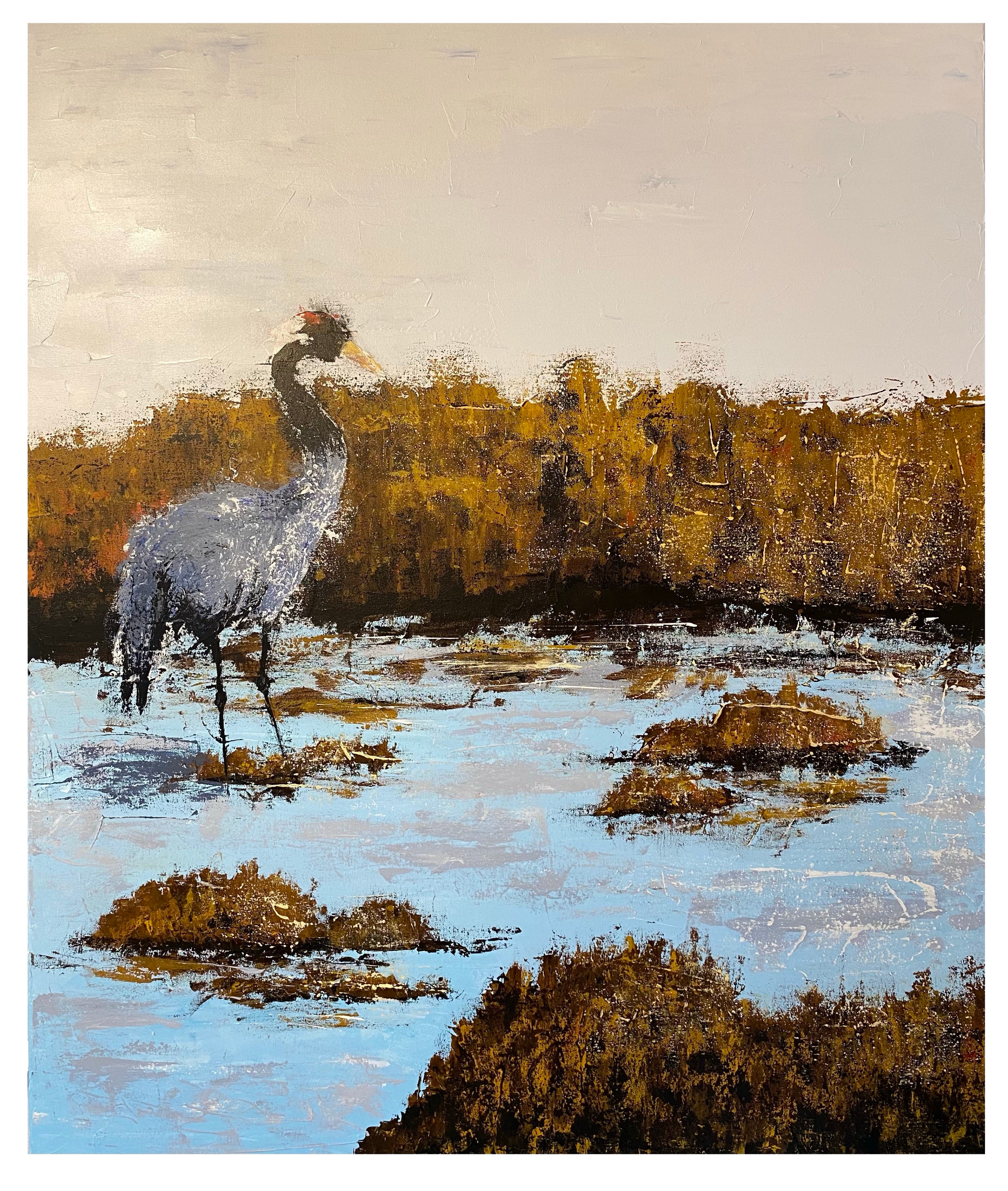 Laulullansa Kertoo Mistä Löytyy Kova Maa